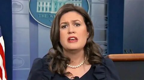 Sarah Sanders goes all in defending Trump s reckless ad accu