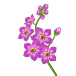 Download High Quality clipart flower transparent background 