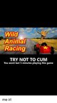 Wild Animal Racing TRY NOT TO CUM You Wont Last 5 Minutes Pl