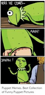 HERE HE COMES AAHH! SENPI! Puppet Memes Best Collection of F