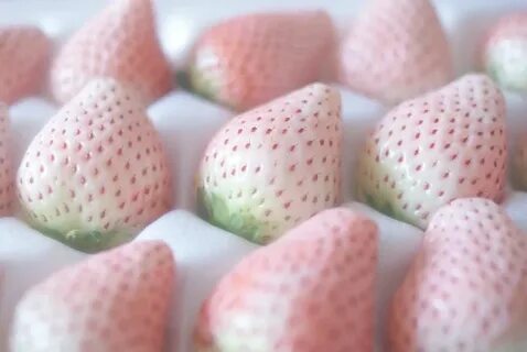 Pin by Luxurydotcom3 on Cute things White strawberry, Everyt