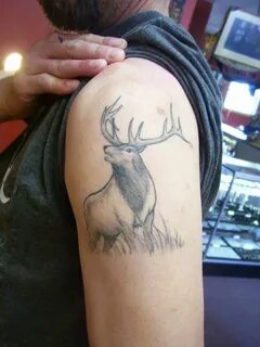 Elk Tattoos Elk tattoo, Tattoos, Tattoo trends