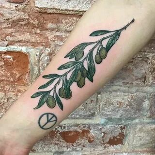 25 Splendid Olive Branch Tattoo Designs - TattooBloq Olive t