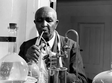 My Crush on George Washington Carver TASTE