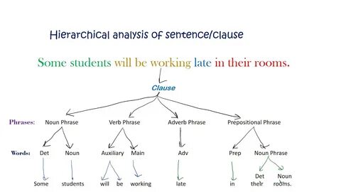 Hierarchical Phrasal analysis of the English sentences - You