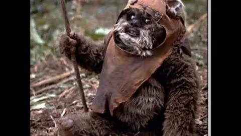 Ewok posted by John Peltier