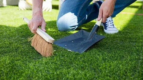 Maintaining Your Artificial Grass - FotoLog