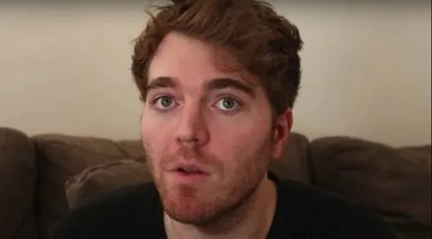 Shane Dawson Cat Sexual Abuse Controversy / "i didnt fuck my