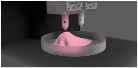 JFB Free Full-Text Novel Biomaterials Used in Medical 3D Pri