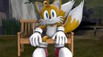 Tails Bench