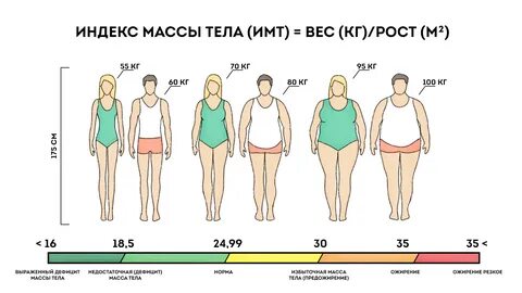 Индекс массы тела: все об ИМТ, его оптимальном значении и пр