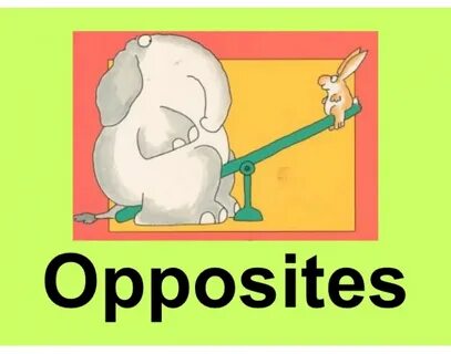 Opposites Quiz