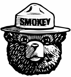 readImage (1320 × 1421) Smokey the bears, Black and white st
