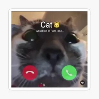 "Cat incoming FaceTime" Sticker for Sale by cheapfan Redbubb