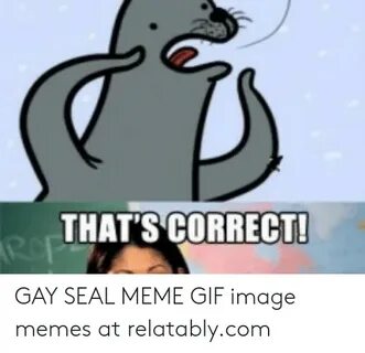 🇲 🇽 25+ Best Memes About Gay Seal Meme Gif Gay Seal Meme Gif