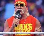 Celebrity Big Brother Summer 2015 cbb 16: Hulk Hogan Offered
