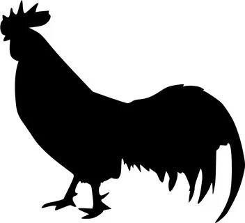 Animal Cock Rooster Svg Png Icon Free Download (#438612) - O