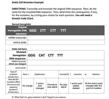 Mutations Pogil Key / Part 3a Nucleotides And Mutations 1 Us