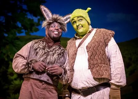 Shrek and Donkey Shrek costume, Shrek, Donkey costume