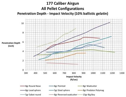 177 Caliber Airgun Terminal Performance