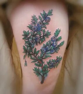 Pin by Claire Rice on Permanent Jewelry Tattoos, Creative ta