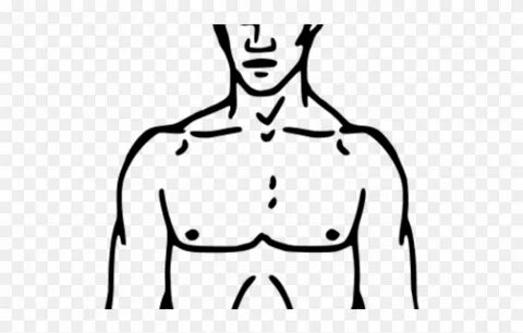 Download Chest Clipart Blank Body - Png Download (#3044645) 