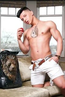 Gay Male Escort Agency :: diluceinluce.eu