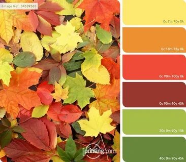 Les couleurs de l'automne https://www.printing.com/uk/blog/t