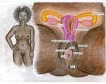Woman with 2 vaginas pics 💖 The hymen. Hymen pictures.