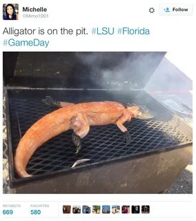 LSU Fans Grill Whole Alligators Before Game Against Florida 