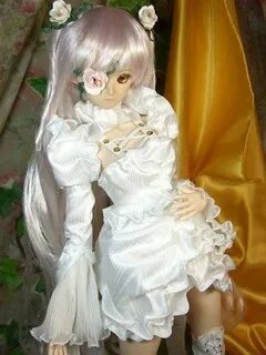 Rozen Maiden Real Dolls Anime Amino