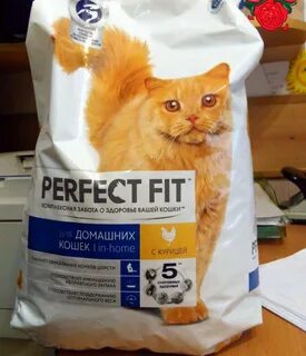 Корм для кошек Perfect Fit ("Перфект Фит"): отзывы ветеринар