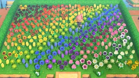 Reddit - AnimalCrossing - Finally bred all the flowers to ma