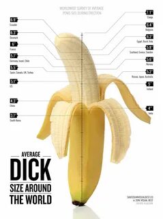 Average Penis Size By Country Infographic - Dasantosh