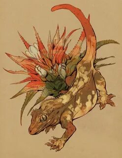 godzillabreath: " crested gecko and blooming tropical bromel