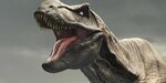 Researchers confirm that the tongue of the T. Rex was vestig