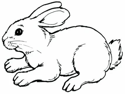 bunny outline Easter bunny template jpg - Clipartix
