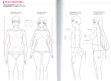 Requesting scans/ebook/etc of "How to draw the Oppai"/"Oppai...