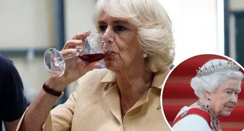 Boozy Camilla had 'brawl with the Queen' US tabloid claims N