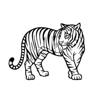 ▷ Tiger: Ausmalbilder & Malvorlagen - 100% KOSTENLOS