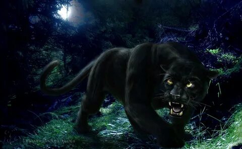 Black Panther Backgrounds - Wallpaper Cave