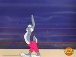 Bugs Bunny Strong GIF - Bugs Bunny Strong Boxing - Discover 