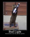Bud Light Meme Related Keywords & Suggestions - Bud Light Me
