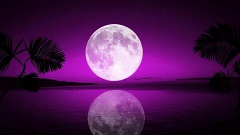 Purple Moon Pink Moon Wallpaper Hd - Tiegan Lee