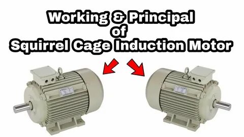 Working of Squirrel Cage Induction Motor No Load & Load Cond