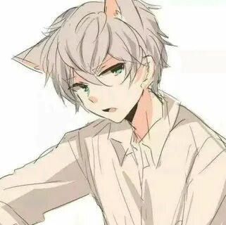 头 像 漫 头 男 头 猫 耳 Wolf boy anime, Anime cat boy, Neko boy