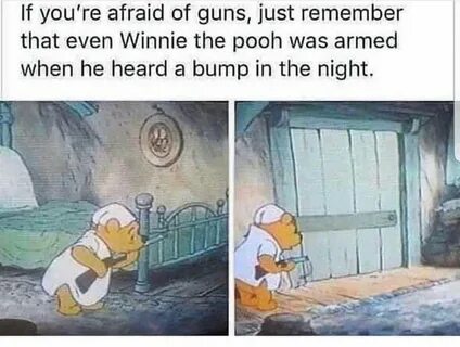 Pin by Sharyn Nicodemus on Guns Winnie the pooh memes, Funny