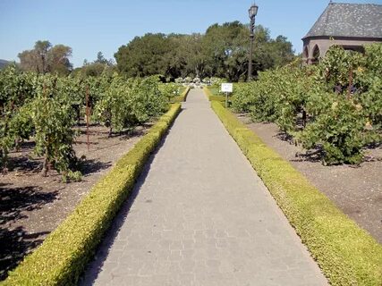 File:Ledson Winery and Vineyards, Santa Rosa, California, US