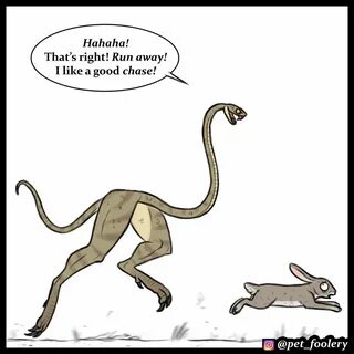 Snake Jokes!