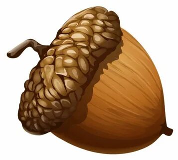 Download Acorn PNG Image for Free Acorn, Acorn painting, Fre